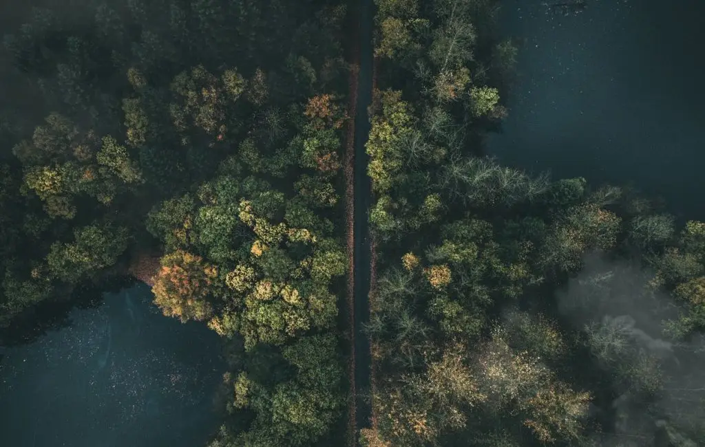 Odio Utsem Nulla Pharetra Diam Sitametnisl Elementum Jan Henrik Franz 1063148 Unsplash 1024x650