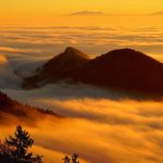 Reading in the clouds